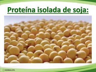 Proteína isolada de soja:
 