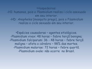 Hospedeiros: HI: humanos, pois o  Plasmidium  realiza i ciclo asexuado em seu interior. HD:  Anopheles  (mosquito prego), pois o P lasmidium  realiza o ciclo sexuado em seu interior. Espécies causadoras – agentes etiológicos. Plasmidium vivax: 48 horas – febre terçã benigna; Plasmidium falciparum: 36 - 48 horas – febre terçã maligna – afeta o cérebro – 98% das mortes. Plasmidium malariae: 72 horas – febre quartã. Plasmidium ovale: não ocorre  no Brasil. 