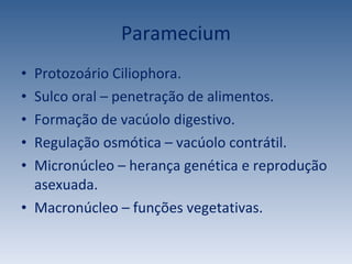 Paramecium Protozoário Ciliophora. Sulco oral – penetração de alimentos. Formação de vacúolo digestivo. Regulação osmótica – vacúolo contrátil. Micronúcleo – herança genética e reprodução asexuada. Macronúcleo – funções vegetativas. 