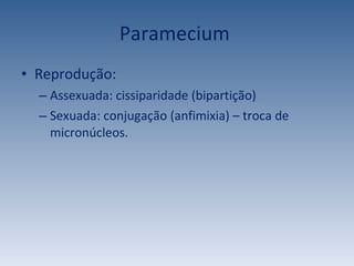 Paramecium  Reprodução: Assexuada: cissiparidade (bipartição) Sexuada: conjugação (anfimixia) – troca de micronúcleos. 