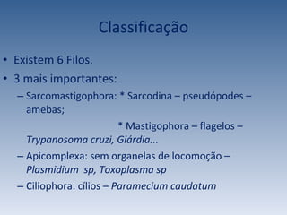 Classificação Existem 6 Filos. 3 mais importantes: Sarcomastigophora: * Sarcodina – pseudópodes – amebas; * Mastigophora – flagelos –  Trypanosoma cruzi, Giárdia... Apicomplexa: sem organelas de locomoção –  Plasmidium  sp, Toxoplasma sp Ciliophora: cílios –  Paramecium caudatum 