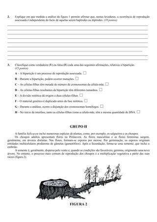 2.    Explique em que medida a análise da figura 1 permite afirmar que, nestas leveduras, a ocorrência de reprodução
      assexuada é independente do facto de aquelas serem haploides ou diploides. (19 pontos)
____________________________________________________________________________
____________________________________________________________________________
____________________________________________________________________________
____________________________________________________________________________
____________________________________________________________________________
____________________________________________________________________________
_________________________________________________________________________
____________________________________________________________________________
____________________________________________________________________________
3.    Classifique como verdadeira (V) ou falsa (F) cada uma das seguintes afirmações, relativas à bipartição.
      (15 pontos)
      A – A bipartição é um processo de reprodução assexuada.   
      B – Durante a bipartição, podem ocorrer mutações.   
      C – As células-filhas têm metade do número de cromossomas da célula-mãe.       
      D – As células-filhas resultantes da bipartição têm diferentes tamanhos.   
      E – A divisão mitótica dá origem a duas células-filhas.   
      F – O material genético é duplicado antes da fase mitótica.   
      G – Durante a anáfase, ocorre a disjunção dos cromossomas homólogos.       
      H – No início da interfase, tanto as células-filhas como a célula-mãe, têm a mesma quantidade de DNA.     

                                                     GRUPO II
       A família Salicaceæ inclui numerosas espécies de plantas, como, por exemplo, os salgueiros e os choupos.
       Os choupos adultos apresentam flores na Primavera. As flores masculinas e as flores femininas surgem,
geralmente, em árvores distintas. Nas flores, formam-se esporos por meiose. Por germinação, os esporos originam
entidades multicelulares produtoras de gâmetas (gametófitos). Após a fecundação, forma-se uma semente, que inclui o
embrião.
       A semente é, geralmente, dispersa pelo vento e, quando as condições são favoráveis, germina, originando uma nova
árvore. No entanto, o processo mais comum de reprodução dos choupos é a multiplicação vegetativa a partir das suas
raízes (figura 2).




                                                     FIGURA 2
 