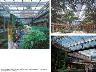 Centro Integrado de Gestión Agraria, CIGA. Detalle de las instalaciones, invernaderos.  Fuente: Politécnico de Milano  
