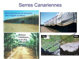Serres Canariennes
Serre Canarienne de bananiers
près d’Agadir au Maroc
Poteaux
métalliques
ou le plus
souvent en
bois
6 à 7 m
11
 