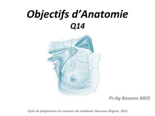 Objectifs d’Anatomie
Q14
Pr.Ag Bassem ABID
Cycle de préparation au concours de résidanat, Nouveau Régime 2015
 