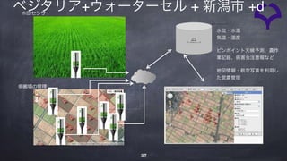 37
M2M
Server
データストレージ
スマートフォンアプリ
水位・水温
気温・湿度
ピンポイント天候予測、農作
業記録、病害虫注意報など
地図情報・航空写真を利用し
た営農管理
⽔⽥センサ
多圃場の管理
ベジタリア+ウォーターセル + 新潟市 +d
 