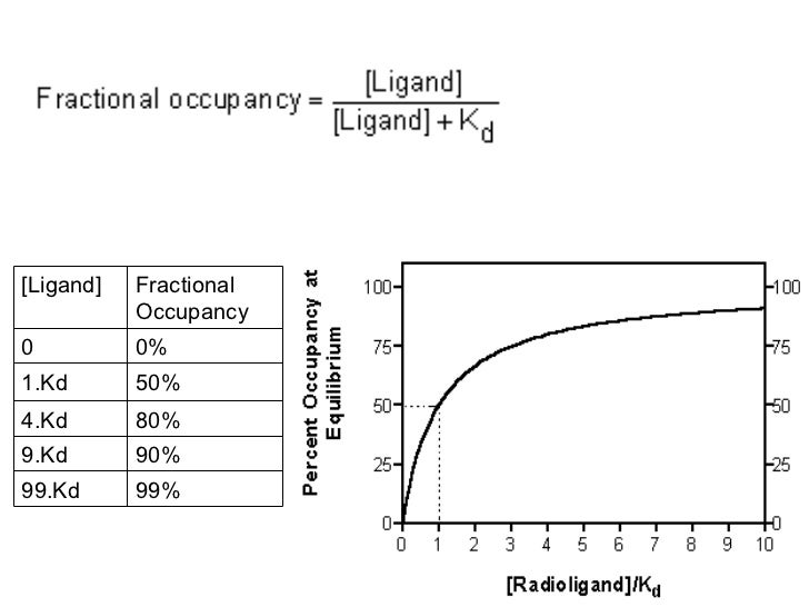 radioligand binding studies