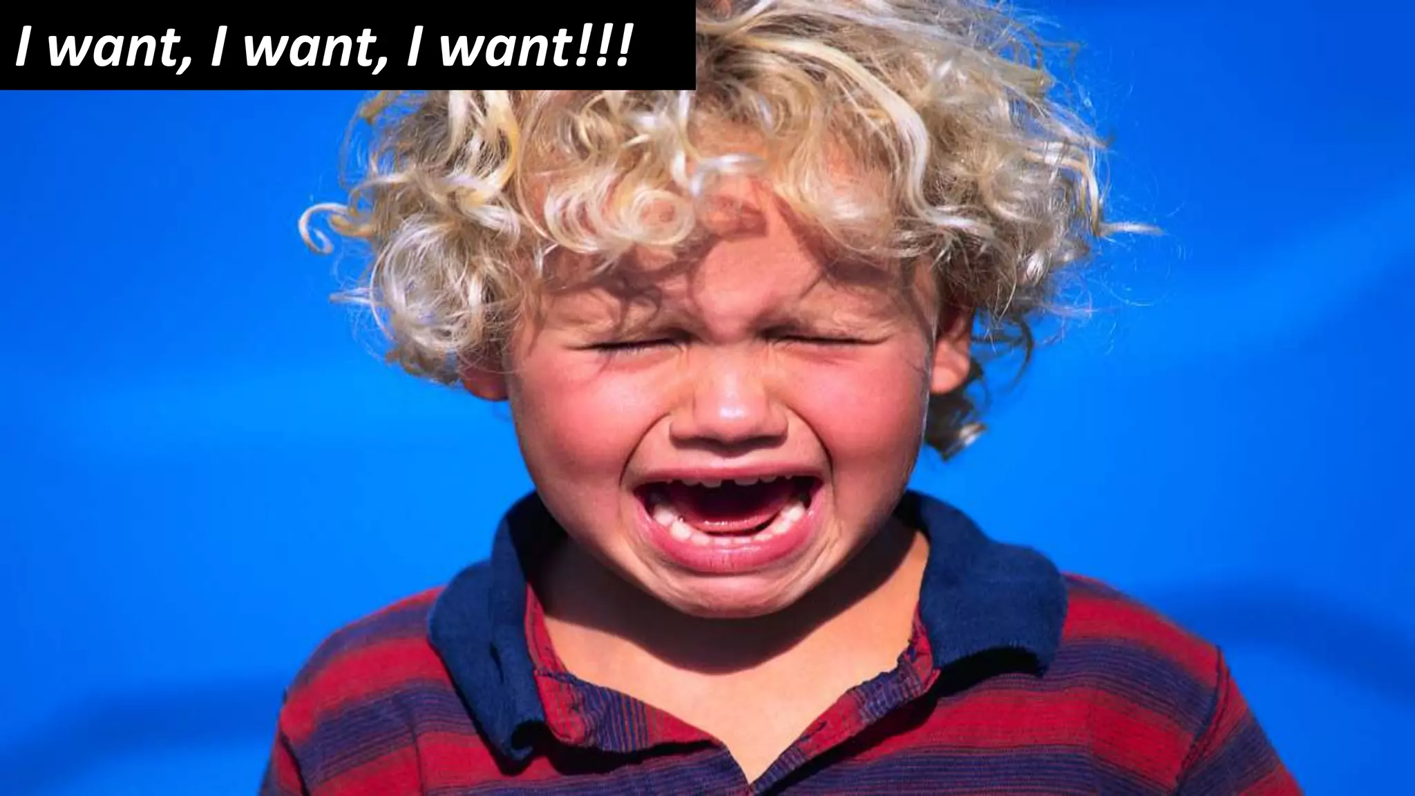 © 2010 - 2013 Constellation Research, Inc. All rights reserved.
I want, I want, I want!!!
 