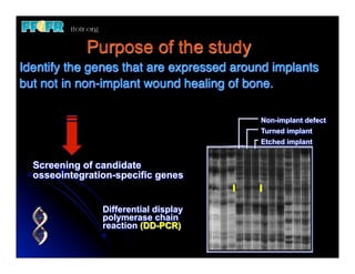 Purpose of the study
Identify the genes that are expressed around implants
but not in non-implant wound healing of bone.

                                          Non-implant defect
                                          Turned implant
                                          Etched implant


  Screening of candidate
  osseointegration-specific genes


                Differential display
                polymerase chain
                reaction (DD-PCR)
 