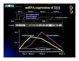 mRNA expression of TO1
              Day 3          Week 1            Week 2          Week 4
                          Non-implant defect
                          Turned implant
                          Etched implant                         Untreated control

  TO1

GAPDH



        0.2
                      Etched implant                    Turned implant



        0.1


                                       Non-implant defect

                      Day 3 Week 1             Week 2                    Week 4
 