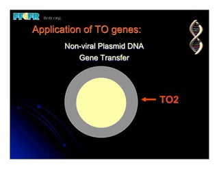 Application of TO genes:
       Non-viral Plasmid DNA
          Gene Transfer




                               TO2
 