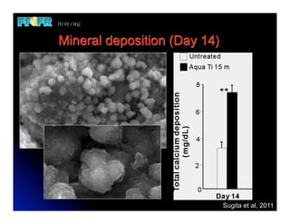 Mineral deposition (Day 14)




                              Sugita et al, 2011
 