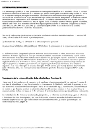 RECEPTORES DE MEMBRANA



  RECEPTORES DE MEMBRANA

  Las hormonas polipeptídicas se unen generalmente a sus receptores específicos en la membrana celular. El receptor
  reconoce características estructurales de la hormona que generan un alto grado de especificidad y afinidad. La unión
  de la hormona al receptor puede provocar cambios conformacionales en la molécula de receptor que permiten la
  asociación con el transductor, en el que pueden tener lugar cambios adicionales para permitir la interacción con una
  enzima en el lado citoplasmático de la membrana celular. Los cambios conformacionales en la enzima, a su vez,
  hacen que se active su sitio catalítico. Es más, en algunos casos, el complejo receptor "activado" podría, físicamente,
  abrir un canal iónico en la membrana o tener otros impactos profundos sobre su estructura. Este proceso se conoce
  como TRANSDUCCIÓN DE LA SEÑAL y a las moléculas participantes en las interacciones se los llama
  genéricamente transductores o moléculas transductoras.



  Muchas de las hormonas que se unen a receptores de membranas transmiten sus señales mediante: 1) aumento del
  AMPC y la activación de la ruta de la proteína quinasa A

  2) el aumento del GMPC y la activación de la ruta de la proteína quinasa G

  3) activación de la hidrólisis del fosfatidilinositl 4,5 bifosfato y la estimulación de la ruta de la proteína quinasa C.



  La proteína quinasa A y la proteína quinasa C fosforilan residuos de treonina o serina, modificando la actividad
  enzimática de manera específica en cada tipo celular ejerciendo así efectos sobre el metabolismo. Existen además
  otros mecanismos menos frecuentes de transferencia de señal que, por ejemplo, afectan a moléculas de membranas
  tales como la fosfatidilcolina. Otro mecanismo de transducción, a través de la activación de cascadas de quinasas,
  implica la fosforilación de residuos de tirosina, serina o treonina y tiene lugar en los dominios citoplasmáticos de
  algunos receptores de membrana; especialmente, en receptores para factores de crecimiento. Este sistema es
  importante en el caso del receptor de insulina, el receptor del IGF (insulin grow factor), Hormona de crecimiento
  (GH) y Prolactina (PRL) así como de Factores de crecimiento, productos de ciertos oncogenes (PDGF; EGF;
  FDGF).



  Transducción de la señal: activación de la adenilciclasa. Proteínas G.

   La mayoría de los transductores de receptores en la membrana celular son proteínas G. Las proteínas G constan de
  tres tipos de subunidades: a, b y g. La subunidad a es el componente de fijación del nucleótido de guanina y se cree
  que interacciona indirectamente con el receptor a través de las subunidades b y g , a continuación, directamente con
  un enzima, lo que da como resultado la activación del enzima. El caso más conocido es el de la activación de la
  enzima Adenilato Ciclasa por ligado de H-R y activación de proteínas G, mecanismo que describimos a continuación.

  En realidad existen dos formas de la subunidad a, designadas a s la subunidad a estimuladora y a i para la subunidad
  a inhibidora. Dos tipos de receptores, y por tanto de hormonas, controlan la reacción de la adenilato ciclasa:
  hormona-receptores que dan lugar a una estimulación de la adenilato ciclasa, y aquellos que dan lugar a una
  inhibición de la ciclasa. (figura 6)




http://med.unne.edu.ar/catedras/bioquimica/receptor/receptor5.htm[19/04/2010 12:56:05 p.m.]
 