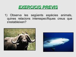 EXERCICIS PREVIS
1) Observa les següents espècies animals,
  quines relacions interespecífiques creus que
  s'estableixen?
 