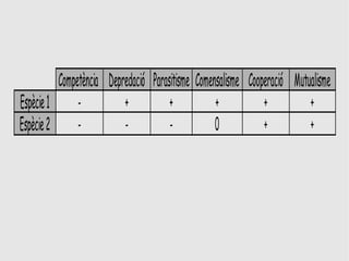 Competència Depredació Parasitisme Comensalisme Cooperació Mutualisme
Espècie 1      -          +           +           +           +          +
Espècie 2      -          -           -           0           +          +
 
