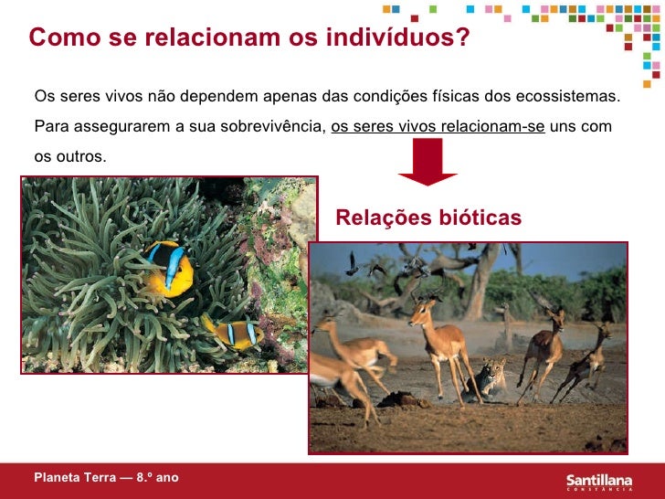 Conjunto De Condições Naturais Que Atuam Sobre Os Seres Vivos