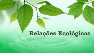 Relações Ecológicas 
 