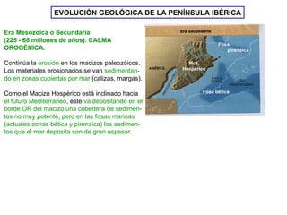 EVOLUCIÓN GEOLÓGICA DE LA PENÍNSULA IBÉRICA Era Mesozoica o Secundaria (225 - 68 millones de años). CALMA  OROGÉNICA. Continúa la  erosión  en los macizos paleozóicos. Los materiales erosionados se van  sedimentan- do en zonas cubiertas por mar  (calizas, margas). Como el Macizo Hespérico está inclinado hacia el futuro Mediterráneo , éste  va depositando en el borde OR del macizo una cobertera de sedimen- tos   no muy potente, pero en las fosas marinas (actuales zonas bética y pirenaica) los sedimen- tos que el mar deposita son de gran espesor. Fosa bética Fosa  pirenaica Mcz. Hespérico 