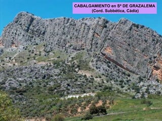 CABALGAMIENTO en Sª DE GRAZALEMA (Cord. Subbética, Cádiz) 