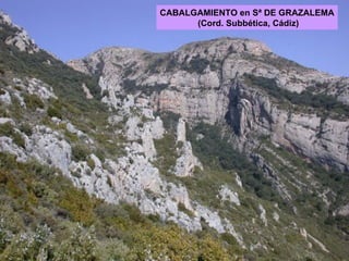 CABALGAMIENTO en Sª DE GRAZALEMA (Cord. Subbética, Cádiz) 