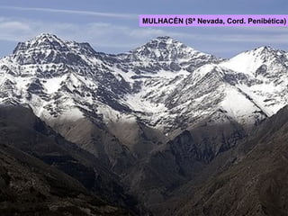 MULHACÉN (Sª Nevada, Cord. Penibética) 