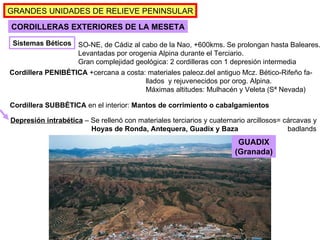 Sistemas Béticos GRANDES UNIDADES DE RELIEVE PENINSULAR CORDILLERAS EXTERIORES DE LA MESETA SO-NE, de Cádiz al cabo de la Nao, +600kms. Se prolongan hasta Baleares. Levantadas por orogenia Alpina durante el Terciario. Gran complejidad geológica: 2 cordilleras con 1 depresión intermedia Cordillera PENIBÉTICA  +cercana a costa: materiales paleoz.del antiguo Mcz. Bético-Rifeño fa- llados  y rejuvenecidos por orog. Alpina. Máximas altitudes: Mulhacén y Veleta (Sª Nevada) Cordillera SUBBÉTICA  en el interior:  Mantos de corrimiento o cabalgamientos Depresión intrabética   – Se rellenó con materiales terciarios y cuaternario arcillosos= cárcavas y Hoyas de Ronda, Antequera, Guadix y Baza   badlands GUADIX (Granada) 