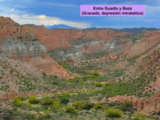 Entre Guadix y Baza (Granada, depresión intrabética) 