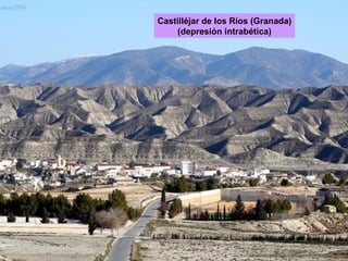 Castilléjar de los Ríos (Granada) (depresión intrabética) 