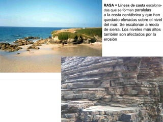 RASA = Líneas de costa  escalona- das que se forman   paralelas a la costa cantábrica y que han quedado elevadas sobre el nivel del mar. Se escalonan a modo de sierra. Los niveles más altos también son afectados por la  erosión 