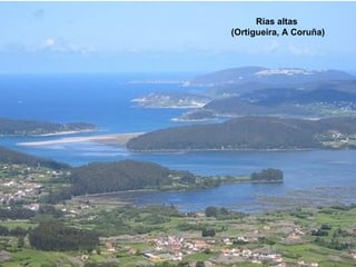 Rías altas  (Ortigueira, A Coruña) 