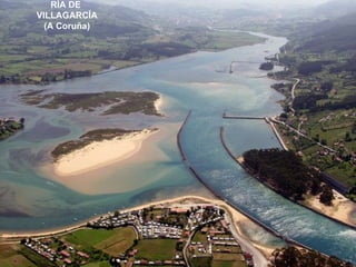 RÍA DE  VILLAGARCÍA (A Coruña) 