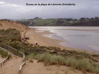 Dunas en la playa de Liencres (Cantabria) 