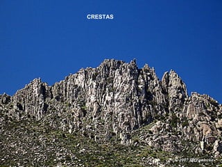 CRESTAS 