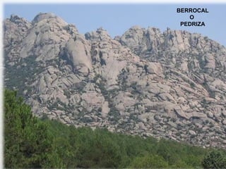 BERROCAL O  PEDRIZA 