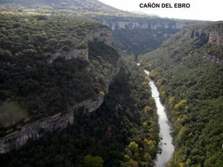 CAÑÓN DEL EBRO 