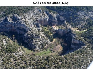 CAÑÓN DEL RÍO LOBOS (Soria) 