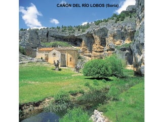 CAÑÓN DEL RÍO LOBOS (Soria) 