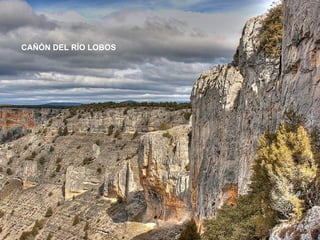 CAÑÓN DEL RÍO LOBOS 