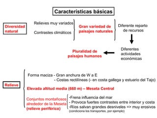 Diversidad natural Características básicas Relieves muy variados Contrastes climáticos Gran variedad de  paisajes naturales Diferente reparto  de recursos Diferentes actividades económicas Pluralidad de paisajes humanos Relieve Forma maciza - Gran anchura de W a E - Costas rectilíneas (- en costa gallega y estuario del Tajo) Elevada altitud media (660 m) – Meseta Central Conjuntos montañosos  alrededor de la Meseta (relieve periférico) Frena influencia del mar - Provoca fuertes contrastes entre interior y costa Ríos salvan grandes desniveles => muy erosivos (condiciona los transportes, por ejemplo) 
