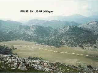 POLJÉ  EN  LÍBAR (Málaga) 