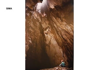 SIMA 