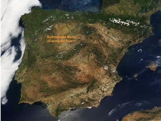 Submeseta Norte (Cuenca del Duero) 