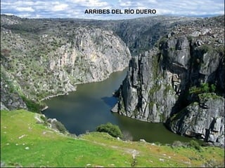ARRIBES DEL RÍO DUERO 