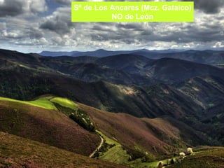 Sª de Los Ancares (Mcz. Galaico) NO de León 