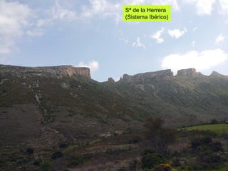 Sª de la Herrera  (Sistema Ibérico) 