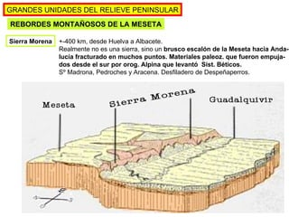GRANDES UNIDADES DEL RELIEVE PENINSULAR REBORDES MONTAÑOSOS DE LA MESETA (Pág.40-41, mapas pp.31 y 38) Sierra Morena +-400 km, desde Huelva a Albacete. Realmente no es una sierra, sino un  brusco escalón de la Meseta hacia Anda- lucía fracturado en muchos puntos. Materiales paleoz. que fueron empuja- dos desde el sur por orog. Alpina que levantó  Sist. Béticos.  Sº Madrona, Pedroches y Aracena. Desfiladero de Despeñaperros. 