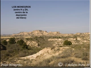 LOS MONEGROS (entre H y ZA,  centro de la depresión del Ebro) 