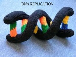 DNA REPLICATION
 