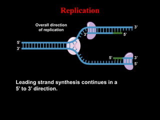 2-Replication [2].ppt