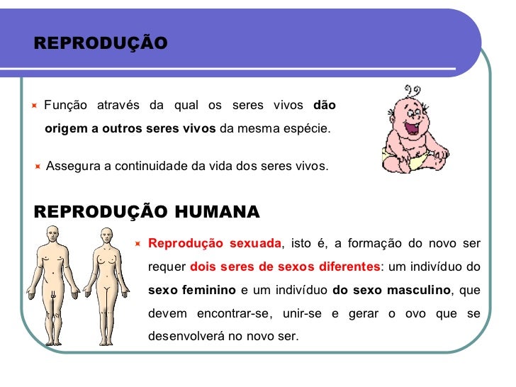 Qual A Principal Maneira Pela Qual Esses Seres Se Reproduzem